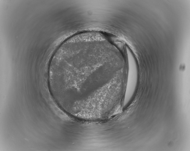 X0000093720673200711131014