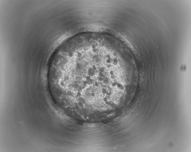 X0000093720679200711131014