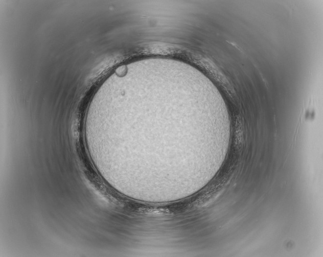 X0000093720683200711131014