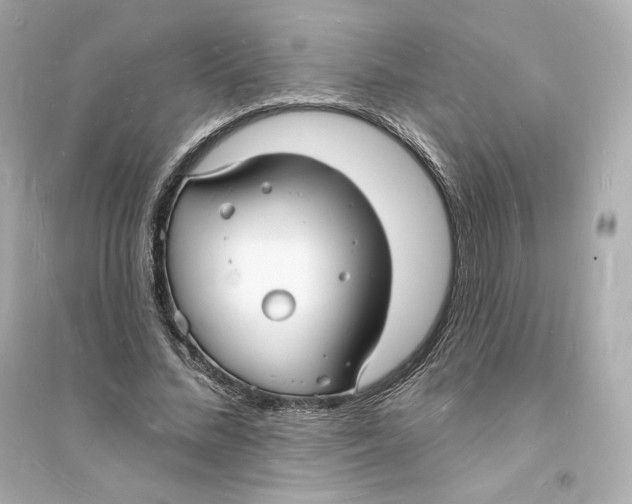 X0000093720684200711131014