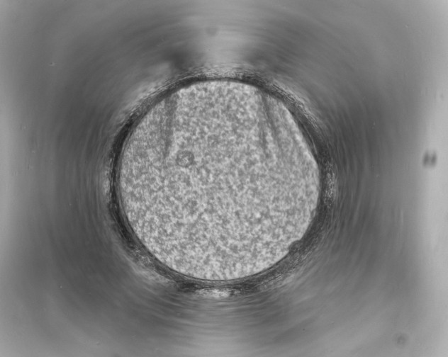 X0000093720687200711131014