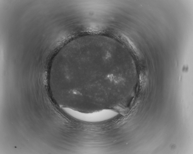 X0000093720689200711131014