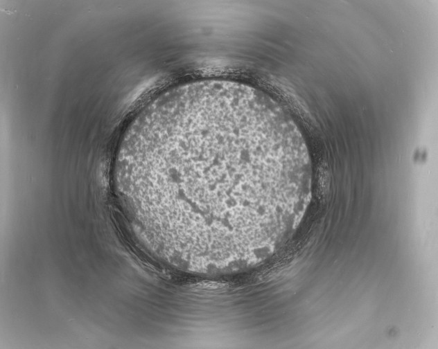 X0000093720691200711131014