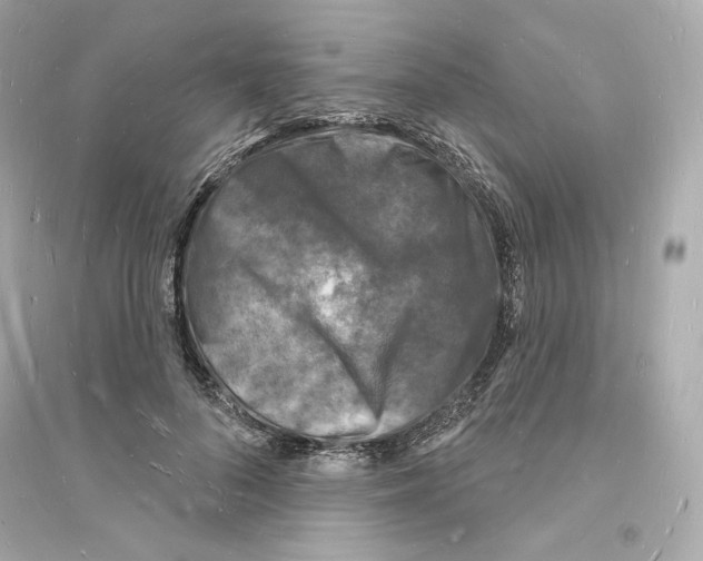 X0000093720696200711131014