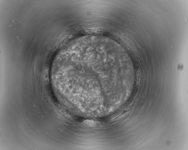 X0000093720699200711131014