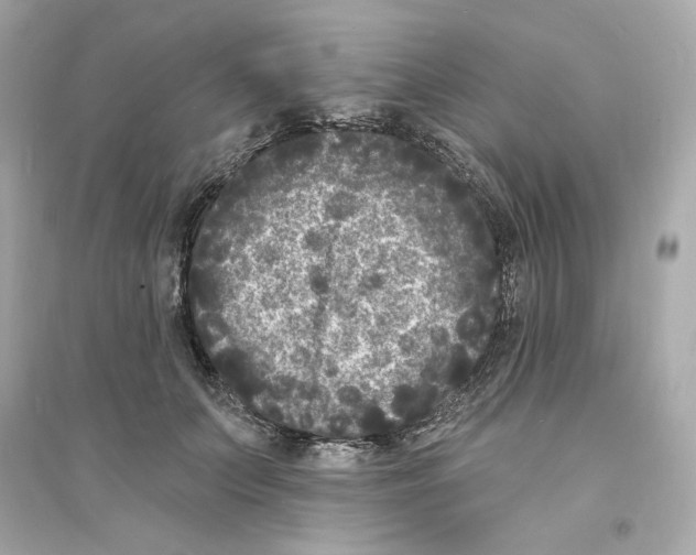 X0000093720703200711131014