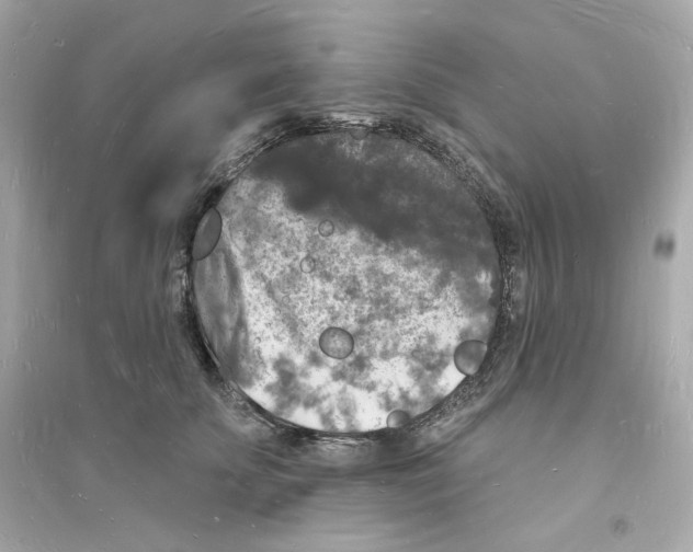 X0000093720707200711131014