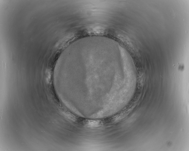 X0000093720709200711131014