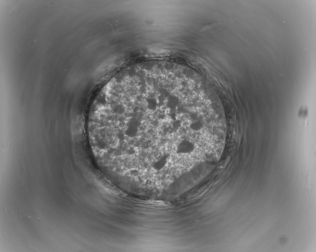 X0000093720711200711131013