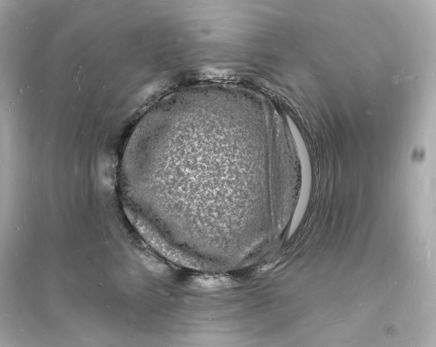 X0000093720712200711131013