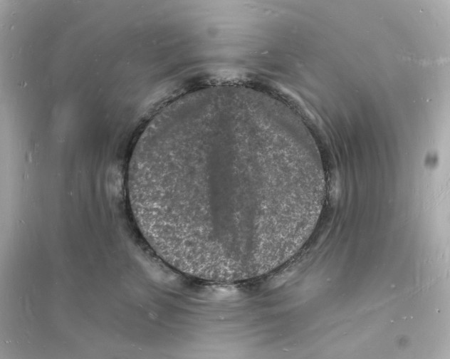 X0000093720715200711131013