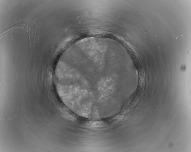 X0000093720716200711131013