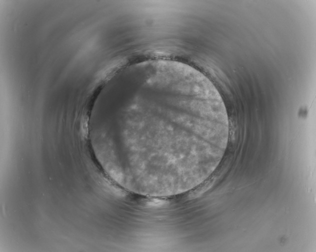 X0000093720718200711131013