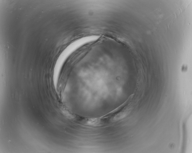 X0000093720720200711131013