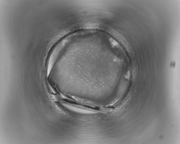 X0000093720721200711131013