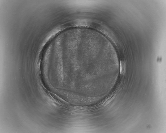 X0000093720723200711131013