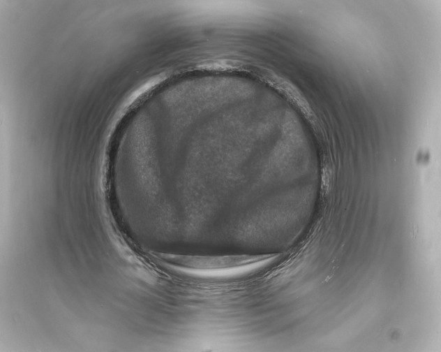 X0000093720724200711131013