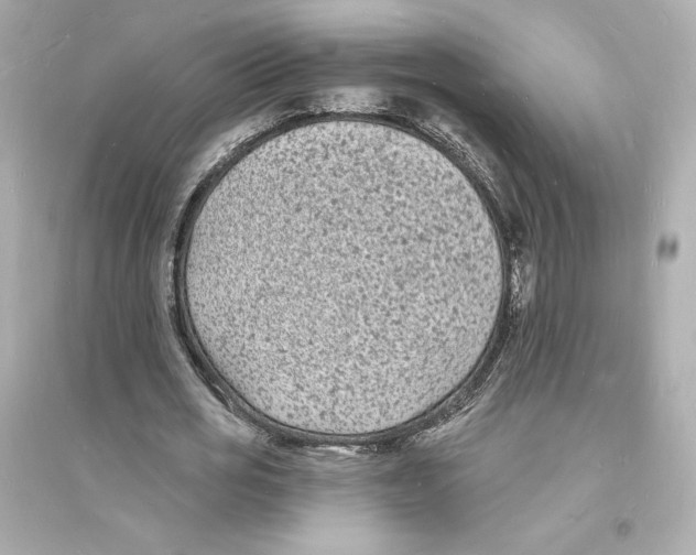 X0000093720725200711131013