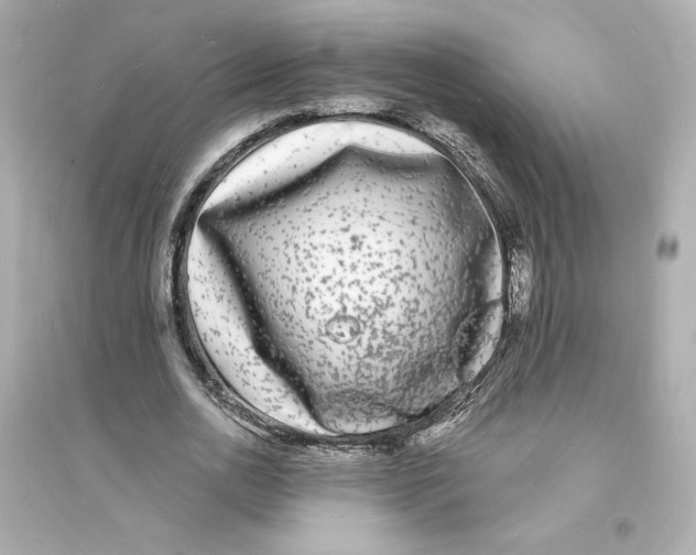 X0000093720726200711131013