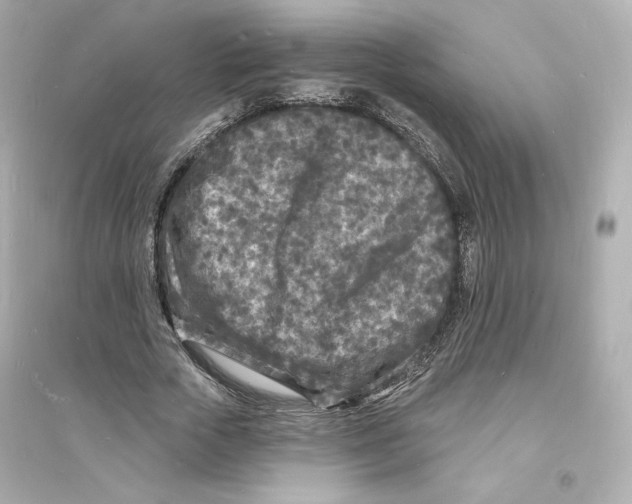 X0000093720729200711131013