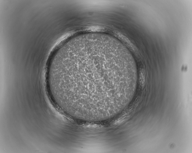 X0000093720730200711131013