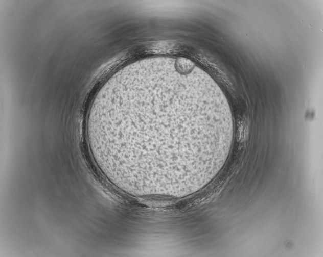 X0000093720733200711131013