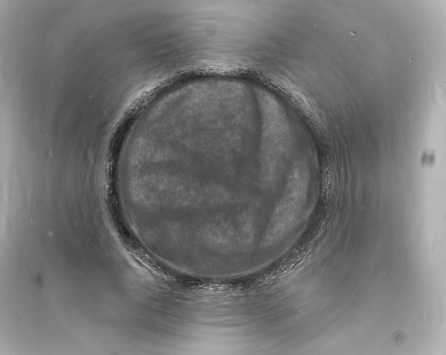 X0000093720736200711131013