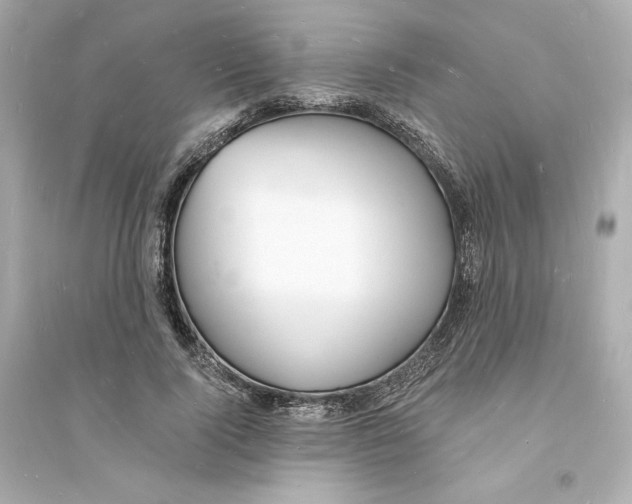 X0000093720740200711131013