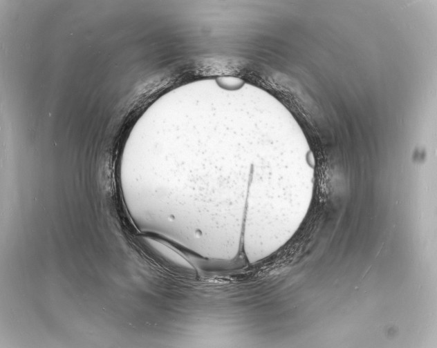 X0000093720743200711131013