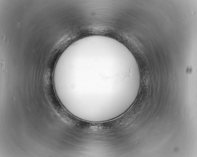 X0000093720744200711131013