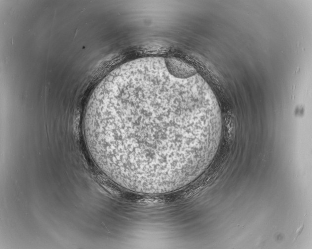 X0000093720745200711131013