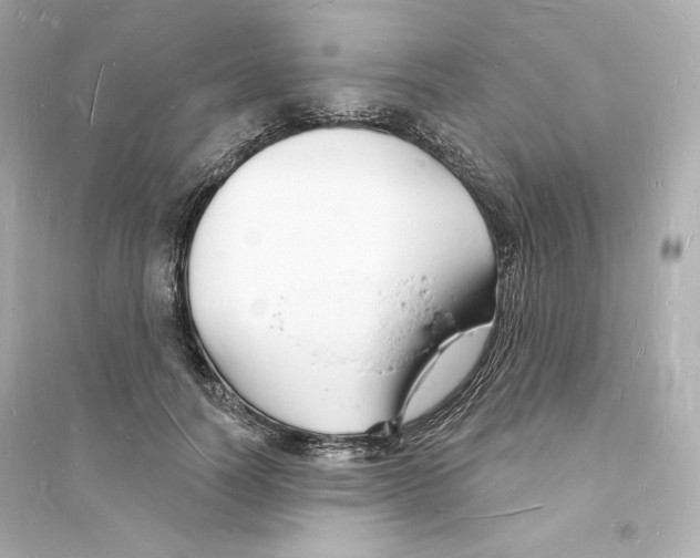 X0000093720746200711131013