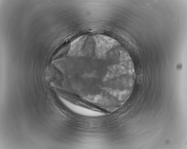 X0000093720748200711131013