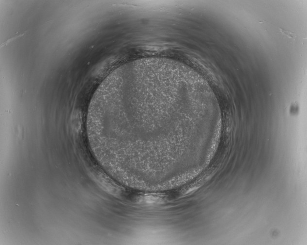 X0000093720758200711131013