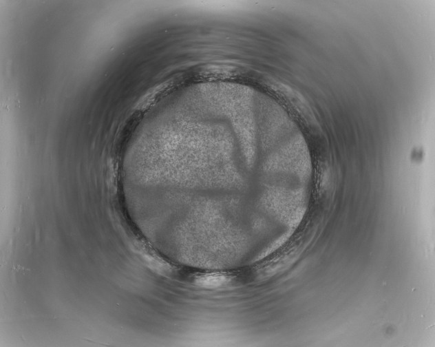 X0000093720759200711131013