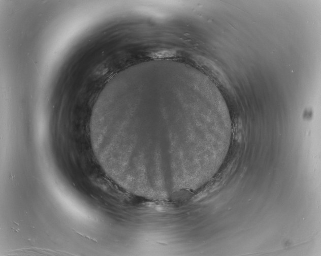 X0000093720763200711131013