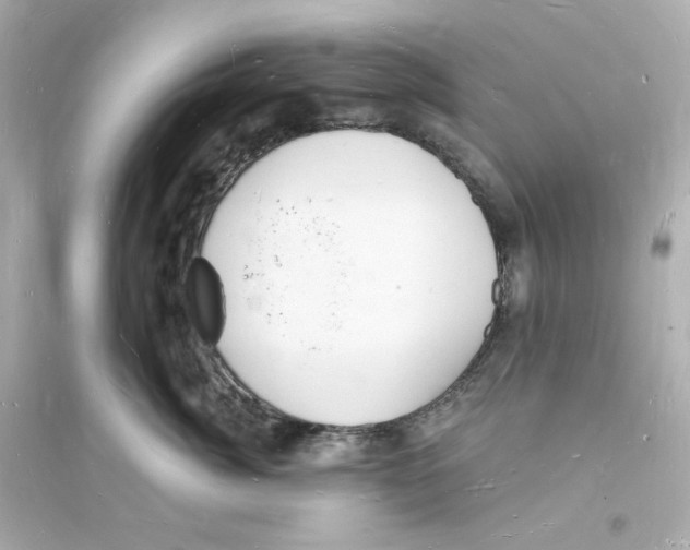 X0000093720764200711131013