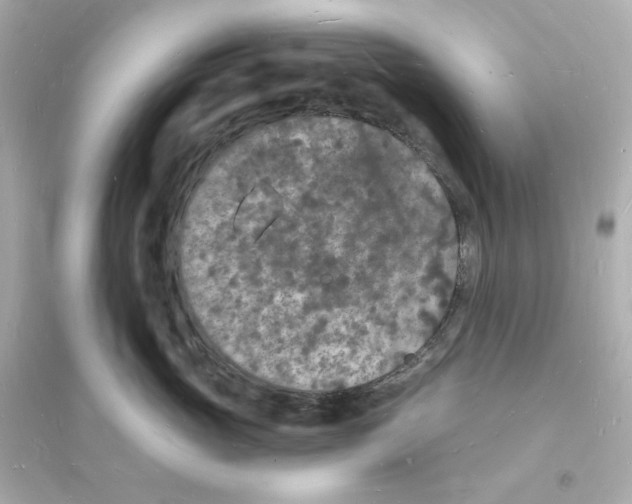 X0000093720765200711131013