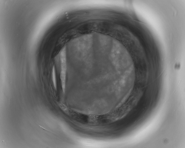 X0000093720766200711131013