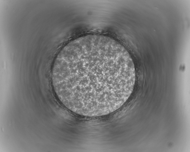 X0000093720769200711131013