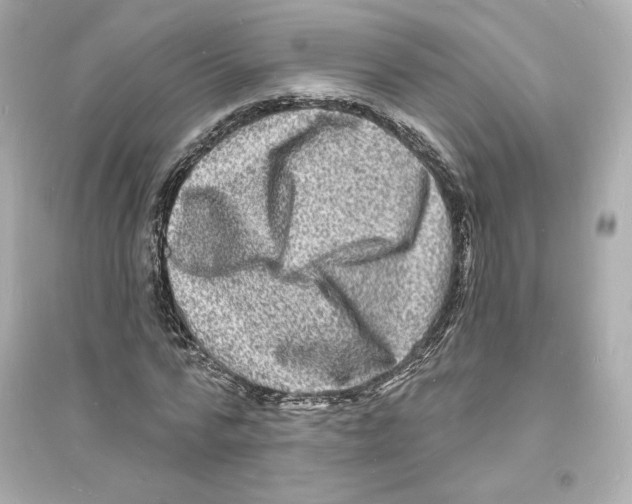 X0000093720776200711131012