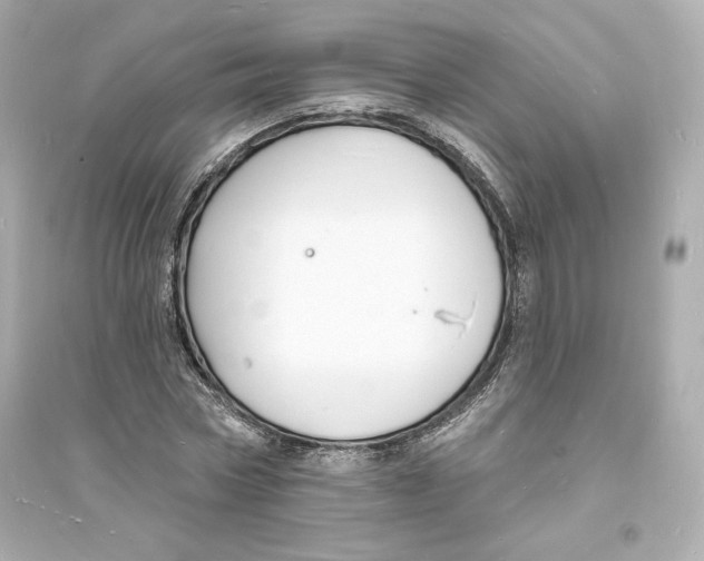 X0000093720778200711131012