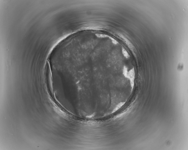 X0000093720779200711131012