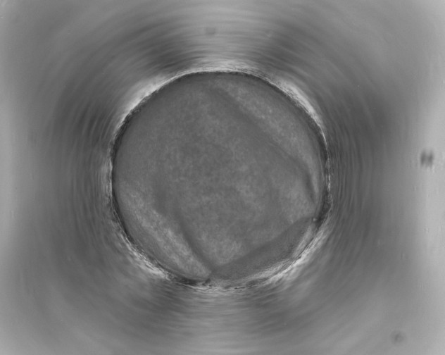 X0000093720781200711131012