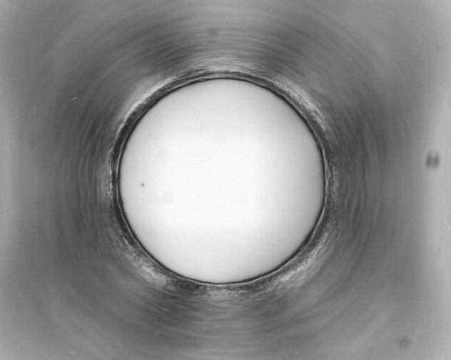 X0000093720782200711131012