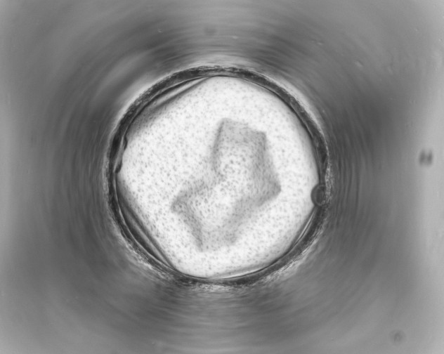 X0000093720783200711131012