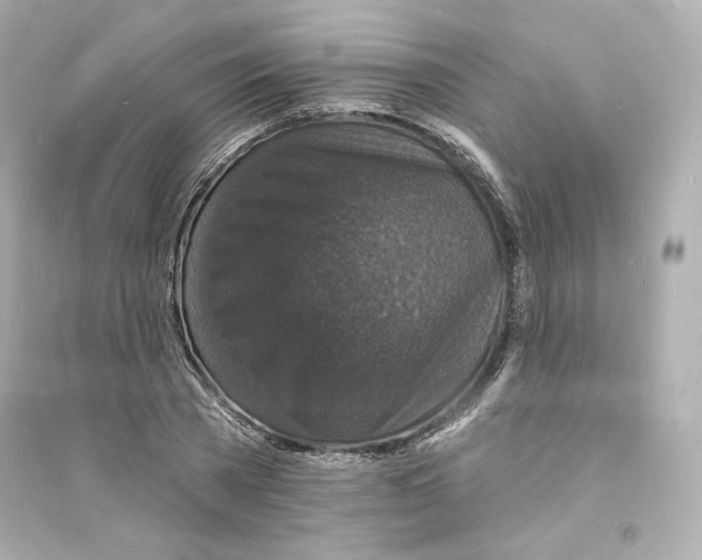 X0000093720785200711131012