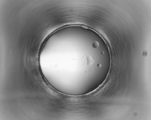 X0000093720789200711131012