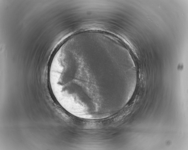 X0000093720790200711131012