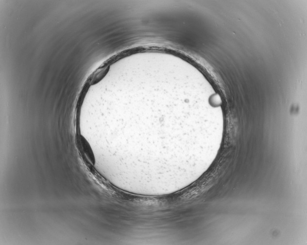 X0000093720791200711131012